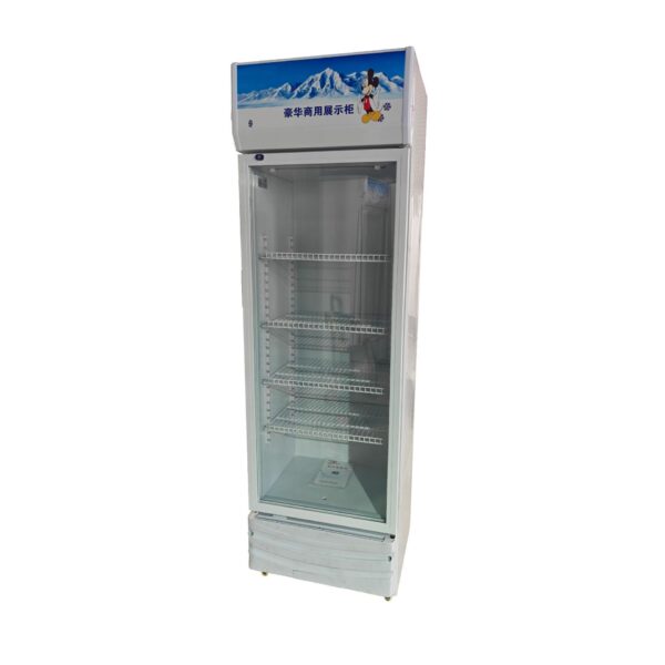 Commercial Fridge